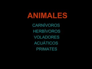 ANIMALES
CARNÍVOROS
HERBÍVOROS
VOLADORES
ACUÁTICOS
PRIMATES
 