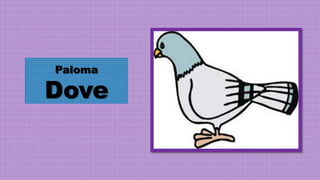 Paloma
Dove
 