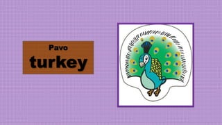 Pavo
turkey
 