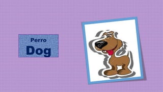 Perro
Dog
 