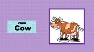 Vaca
Cow
 