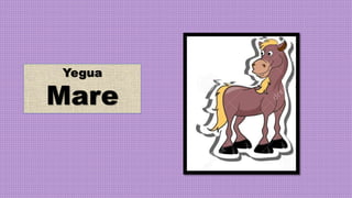 Yegua
Mare
 