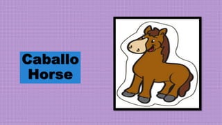 Caballo
Horse
 