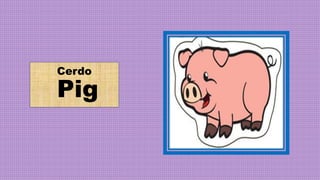 Cerdo
Pig
 