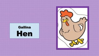 Gallina
Hen
 