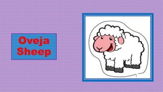 Oveja
Sheep
 