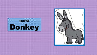Burro
Donkey
 