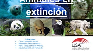 Animales en
extinción
Integrantes:
● Castro Saavedra Nataly.
● Meneses Carrasco Melissa.
● Pérez Väsquez Nidian Aracely
● Acuña Aguilar Erick Fernando
 