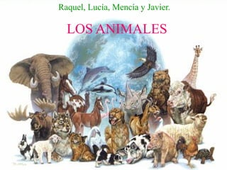 LOS ANIMALES
Raquel, Lucía, Mencía y Javier.
 