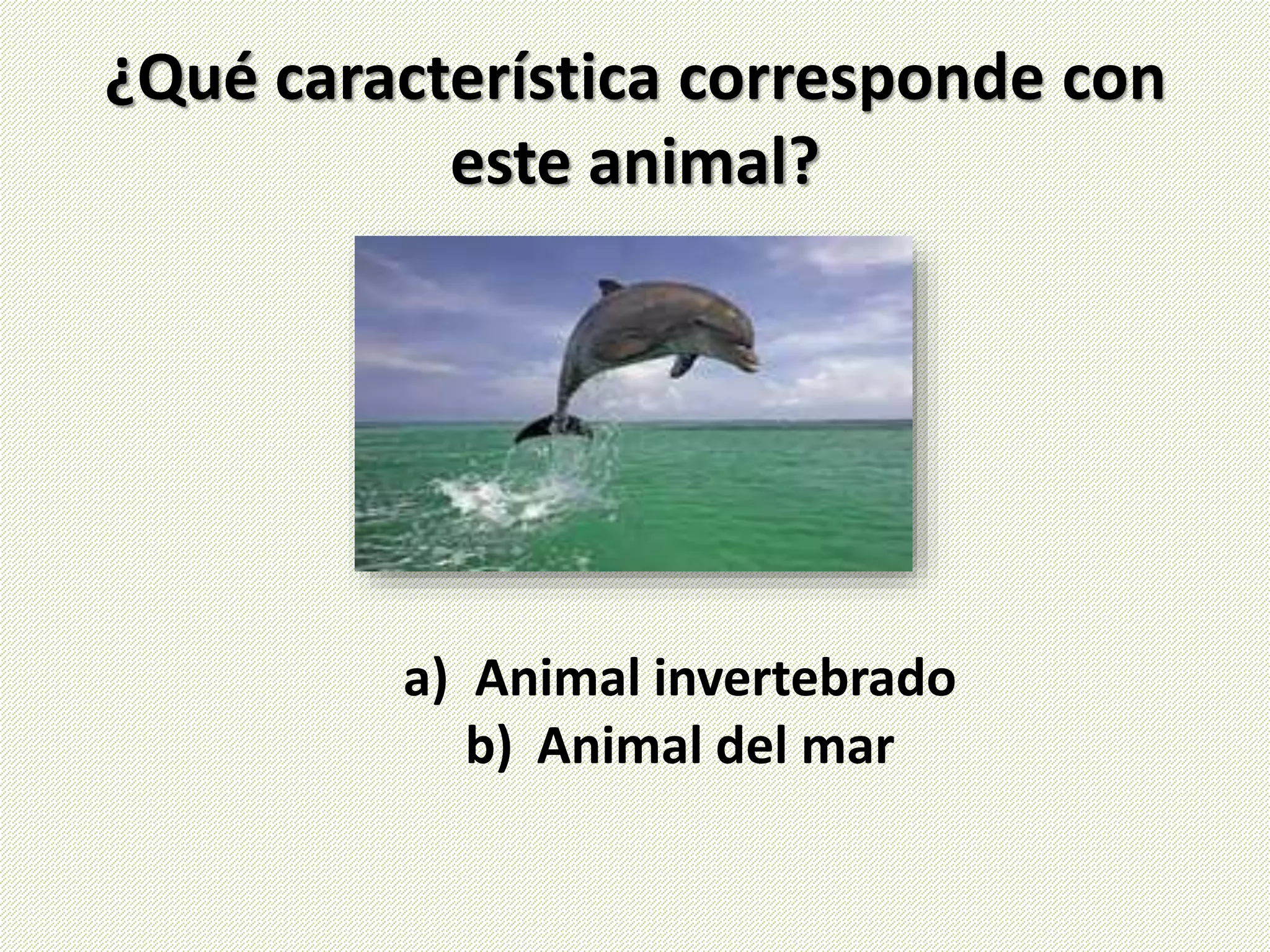 ¿Qué característica corresponde con
este animal?
a) Animal invertebrado
b) Animal del mar