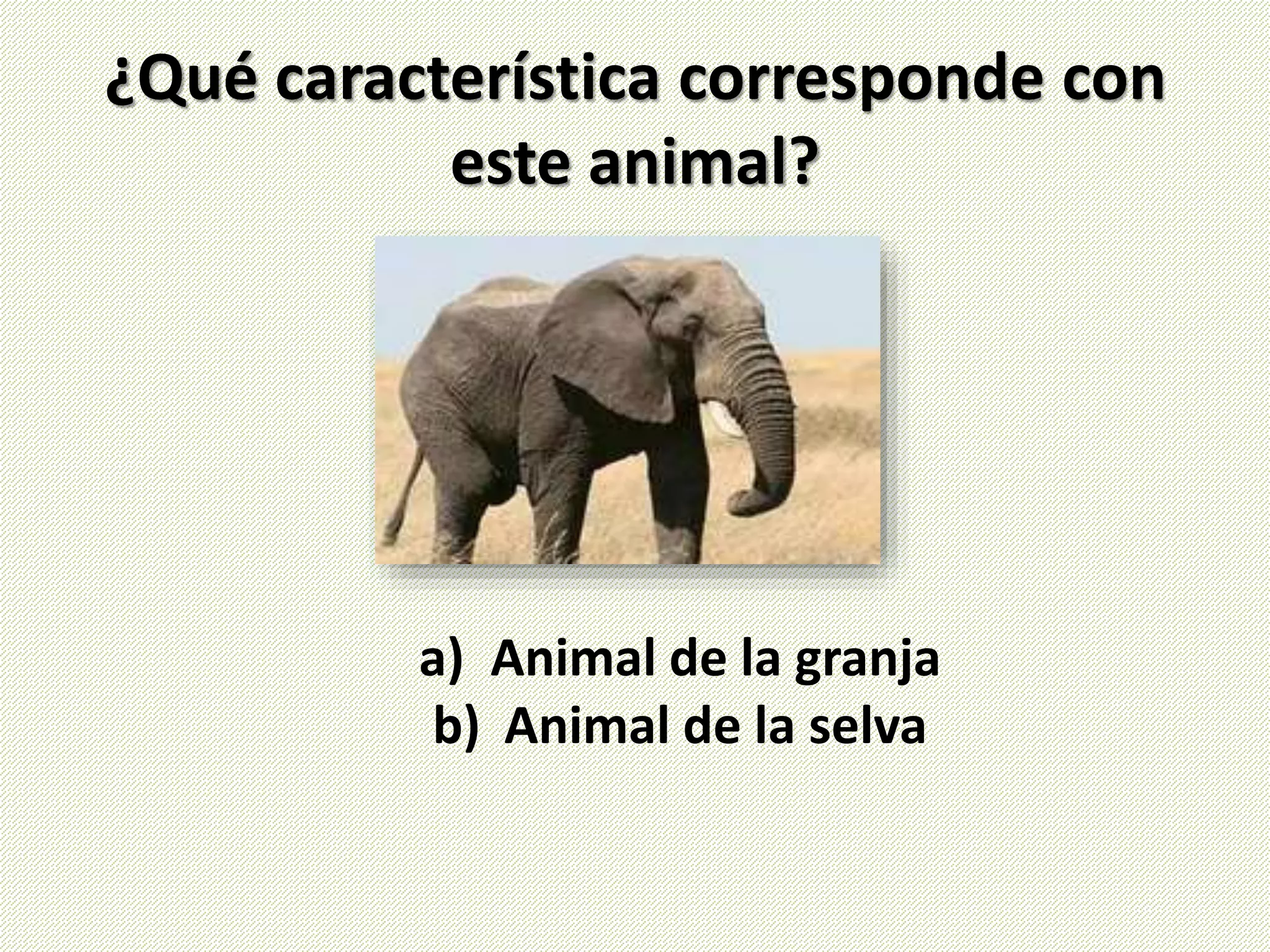 ¿Qué característica corresponde con
este animal?
a) Animal de la granja
b) Animal de la selva