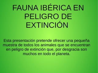 FAUNA IBÉRICA EN
PELIGRO DE
EXTINCIÓN
Esta presentación pretende ofrecer una pequeña
muestra de todos los animales que se encuentran
en peligro de extinción que, por desgracia son
muchos en todo el planeta.
 