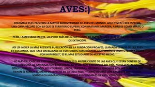 COLOMBIA ES EL PAÍS CON LA MAYOR BIODIVERSIDAD DE AVES DEL MUNDO. AQUÍ VIVEN 1.903 ESPECIES,
UNA CIFRA RÉCORD CON LA QUE EL TERRITORIO SUPERA, CON BASTANTE MARGEN, A PAÍSES COMO BRASIL O
PERÚ.
PERO, LAMENTABLEMENTE, UN POCO MÁS DEL 6 POR CIENTO DE ESAS ESPECIES (122) ESTÁN AMENAZADAS
DE EXTINCIÓN.
ASÍ LO INDICA LA MÁS RECIENTE PUBLICACIÓN DE LA FUNDACIÓN PROAVES, LLAMADA ESTADO DE LAS AVES
EN COLOMBIA, QUE HACE UN BALANCE DE ESTE GRUPO TAXONÓMICO, QUE SEGÚN EL INSTITUTO ALEXÁNDER
VON HUMBOLDT, ES EL MÁS ESTUDIADO DE NUESTRO MEDIO.
LO MÁS DELICADO DE ESTE DIAGNÓSTICO ES QUE EL 40 POR CIENTO DE LAS AVES QUE ESTÁN DENTRO DE
ESTA CATEGORÍA DE AMENAZA SON ENDÉMICAS, ES DECIR, SON EXCLUSIVAS DEL PAÍS, NO SE VEN EN NINGÚN
OTRO LUGAR DEL MUNDO. LOS COLIBRÍES, LOROS, TÁNGARAS, PAUJILES Y TOROROIS SON LAS FAMILIAS QUE
TIENEN EL MAYOR NÚMERO DE ESPECIES EN LA LISTA ROJA. Y COMO OCURRE CON BASTANTE FRECUENCIA,
SOMOS LOS HUMANOS LOS MAYORES RESPONSABLES DE ESTA SITUACIÓN.
 