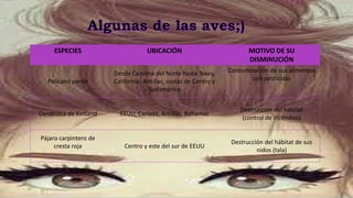 ESPECIES UBICACIÓN MOTIVO DE SU
DISMINUCIÓN
Pelicano pardo
Desde Carolina del Norte hasta Texas,
California, Antillas, costas de Centro y
Sudamérica
Contaminación de sus alimentos
con pesticidas
Dendroica de Kirtland EEUU, Canadá, Antillas, Bahamas
Destrucción del hábitat
(control de incendios)
Pájaro carpintero de
cresta roja Centro y este del sur de EEUU
Destrucción del hábitat de sus
nidos (tala)
 