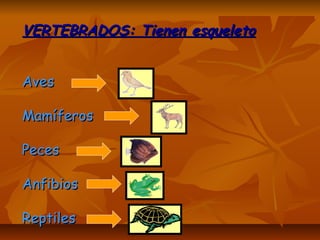 VERTEBRADOS: Tienen esqueletoVERTEBRADOS: Tienen esqueleto
AvesAves
MamíferosMamíferos
PecesPeces
AnfibiosAnfibios
ReptilesReptiles
 