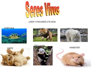 LARA Y FACUNDO 4°B 2016
TORTUGA LEÓN OSO POLAR
GATO HAMSTER
OSO panda
 