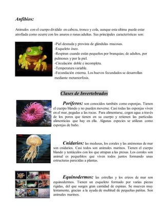 Anfibios:
Animales con el cuerpo dividido en cabeza, tronco y cola, aunque esta ultima puede estar
atrofiada como ocurre con los anuros o ranas adultas. Sus principales características son:
-Piel desnuda y provista de glándulas mucosas.
-Esqueleto óseo.
-Respiran cuando están pequeños por branquias; de adultos, por
pulmones y por la piel.
-Circulación doble e incompleta.
-Temperatura variable.
-Fecundación externa. Los huevos fecundados se desarrollan
mediante metamorfosis.
Clases de Invertebrados
Poríferos: son conocidos también como esponjas. Tienen
el cuerpo blando y no pueden moverse. Casi todas las esponjas viven
en el mar, pegadas a las rocas. Para alimentarse, cogen agua a través
de los poros que tienen en su cuerpo y retienen las partículas
alimenticias que hay en ella. Algunas especies se utilizan como
esponjas de baño.
Cnidarios: las medusas, los corales y las anémonas de mar
son cnidarios. Casi todos son animales marinos. Tienen el cuerpo
blando y tentáculos con los que atrapan a las presas. Los corales son
animal es pequeñitos que viven todos juntos formando unas
estructuras parecidas a plantas.
Equinodermos: las estrellas y los erizos de mar son
equinodermos. Tienen un esqueleto formado por varias piezas
rígidas, del que surgen gran cantidad de espinas. Se mueven muy
lentamente, gracias a la ayuda de multitud de pequeñas patitas. Son
animales marinos.
 