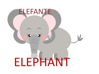 ELEPHANT
ELEFANTE
 