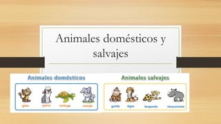 Animales domésticos y
salvajes
 