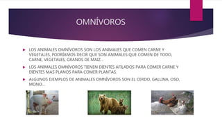 OMNÍVOROS
 LOS ANIMALES OMNÍVOROS SON LOS ANIMALES QUE COMEN CARNE Y
VEGETALES, PODRÍAMOS DECIR QUE SON ANIMALES QUE COMEN DE TODO,
CARNE, VEGETALES, GRANOS DE MAIZ…
 LOS ANIMALES OMNÍVOROS TIENEN DIENTES AFILADOS PARA COMER CARNE Y
DIENTES MAS PLANOS PARA COMER PLANTAS.
 ALGUNOS EJEMPLOS DE ANIMALES OMNÍVOROS SON EL CERDO, GALLINA, OSO,
MONO…
 