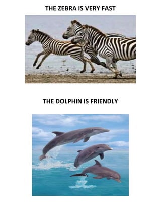 THE ZEBRA IS VERY FAST
THE DOLPHIN IS FRIENDLY
 