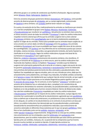 diferentes grupos o un cambio de condiciones que facilitó la fosilización. Algunos ejemplos
serían Wiwaxia, Pikaia, Hallucigenia, Opabinia, etc.
Entre los ancestros de grupos posteriores destaca Anomalocaris, del Cámbrico, como posible
ancestro de diversos grupos de artrópodos, por su cuerpo segmentado, evolucionado
de Opabinia y otros similares. Los cordados podrían tener relación con Pikaia.
En cuanto a la evolución de los filos, tradicionalmente los animales se clasificaron por simetría
y su nivel de complejidad en grupos como Radiata, Mesozoa, Acoelomata, Coelomata,
y Pseudocoelomata que resultaron ser polifiléticos. Actualmente no está bien claro como fue
el último ancestro común de todos los animales ("Urmetazoa"), todos los análisis moleculares
respaldan la teoría colonial que afirma que los animales surgieron de la unión colonial
de protozoos similares a los coanoflagelados que es la teoría ampliamente aceptada para
explicar el origen de los animales. Parece poco probable que los animales hayan surgido de un
único ancestro en común dado a la falta de homología entre los poríferos y los animales
verdaderos (Eumetazoa), por lo que es probable que hayan surgido dos veces de las colonias
de coanoflagelados. Los poríferos son muy diferentes de los eumetazoos puesto que carecen
de tejidos, sistema nervioso, notocordio y son generalmente inmóviles, de hecho Haeckel las
clasificaba en el reino Protista. Según los análisis moleculares el grupo más basal de los
eumetazoos es Ctenophora lo que sugiere que los
bilaterios, cnidarios y placozoos evolucionaron de ancestros similares a los ctenóforos. El
origen y el ancestro de los bilaterios es un tema oscuro, pero los análisis moleculares han
favorecido dos hipótesis clásicas: la hipótesis "Planulozoa" considera que los bilaterios
surgieron de la derivación pedomórfica de la larva de un cnidario y según este punto de vista
los gusanos acelomados (platelmintos, nemertinos y xenacelomorfos) serían los bilaterales
más primitivos derivándose posteriormente de ellos celomados y pseudocelomados. Esta
hipótesis fue respaldada por algunos estudios, pero a la vez criticada por otros, dado que los
xenacelomorfos como platelmintos, son linajes muy reducidos, ha habido cambios constantes
en el genoma y mutan más rápidamente que cualquier tipo de animal conocido, así que sugerir
que estos linajes ocupan posiciones en los árboles filogenéticos podría significar caer en
la atracción de ramas largas. Por el contrario, la otra hipótesis "Urbilateria" considera que el
ancestro de los bilaterios fue un celomado (es decir, complejo) y con características de
deuteróstomo derivándose los restantes celomados, los pseudocelomados y acelomados. Esta
hipótesis es la más probable para el primer ancestro bilateral. Dentro de Bilateria dos clados
han sido bien establecidos Protostomia respaldado por todos los análisis moleculares
y Deuterostomia respaldado por la mayoría de los análisis moleculares, aunque algunos más
recientes han cuestionado la monofilia de los deuteróstomos sugiriendo que son parafiléticos.
Estos se definen por el desarrollo embrionario, en protóstomos la boca se desarrolla primero y
el ano después, en cambio en los deuteróstomos es lo contrario el ano primero y la boca por
último. Los análisis moleculares han demostrado que los pseudocelomados y acelomados
(exceptuando los xenacelomorfos) son protóstomos reducidos y que evolucionaron de
ancestros celomados en diferentes líneas evolutivas por lo que son grupos polifiléticos. Estos
filos se han clasificados junto con los anélidos, moluscos, artrópodos, en los
clados Spiralia y Ecdysozoa respectivamente. Antiguamente se creía que los anélidos estaban
más estrechamente con los artrópodos y que los lofoforados con quetognatos eran
deuteróstomos, pero los análisis moleculares han demostrado que estos últimos pertenecen
Spiralia junto con anélidos, moluscos, etc. La posición de los entoproctos que fue incierta
durante muchos también se resolvió en Spiralia. El clado Spiralia contiene los
(moluscos, anélidos, lofoforados, quetognatos, platelmintos, nemertinos, gastrotricos, rotífero
 