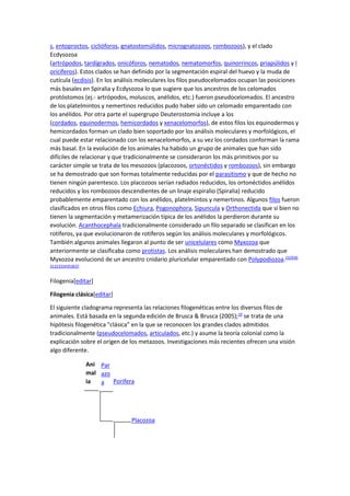 s, entoproctos, ciclióforos, gnatostomúlidos, micrognatozoos, rombozoos), y el clado
Ecdysozoa
(artrópodos, tardígrados, onicóforos, nematodos, nematomorfos, quinorrincos, priapúlidos y l
oricíferos). Estos clados se han definido por la segmentación espiral del huevo y la muda de
cutícula (ecdisis). En los análisis moleculares los filos pseudocelomados ocupan las posiciones
más basales en Spiralia y Ecdysozoa lo que sugiere que los ancestros de los celomados
protóstomos (ej.- artrópodos, moluscos, anélidos, etc.) fueron pseudocelomados. El ancestro
de los platelmintos y nemertinos reducidos pudo haber sido un celomado emparentado con
los anélidos. Por otra parte el supergrupo Deuterostomia incluye a los
(cordados, equinodermos, hemicordados y xenacelomorfos), de estos filos los equinodermos y
hemicordados forman un clado bien soportado por los análisis moleculares y morfológicos, el
cual puede estar relacionado con los xenacelomorfos, a su vez los cordados conforman la rama
más basal. En la evolución de los animales ha habido un grupo de animales que han sido
difíciles de relacionar y que tradicionalmente se consideraron los más primitivos por su
carácter simple se trata de los mesozoos (placozoos, ortonéctidos y rombozoos), sin embargo
se ha demostrado que son formas totalmente reducidas por el parasitismo y que de hecho no
tienen ningún parentesco. Los placozoos serían radiados reducidos, los ortonéctidos anélidos
reducidos y los rombozoos descendientes de un linaje espiralio (Spiralia) reducido
probablemente emparentado con los anélidos, platelmintos y nemertinos. Algunos filos fueron
clasificados en otros filos como Echiura, Pogonophora, Sipuncula y Orthonectida que si bien no
tienen la segmentación y metamerización típica de los anélidos la perdieron durante su
evolución. Acanthocephala tradicionalmente considerado un filo separado se clasifican en los
rotíferos, ya que evolucionaron de rotíferos según los análisis moleculares y morfológicos.
También algunos animales llegaron al punto de ser unicelulares como Myxozoa que
anteriormente se clasificaba como protistas. Los análisis moleculares han demostrado que
Myxozoa evolucionó de un ancestro cnidario pluricelular emparentado con Polypodiozoa.232930
31323334353637
Filogenia[editar]
Filogenia clásica[editar]
El siguiente cladograma representa las relaciones filogenéticas entre los diversos filos de
animales. Está basada en la segunda edición de Brusca & Brusca (2005);19
se trata de una
hipótesis filogenética "clásica" en la que se reconocen los grandes clados admitidos
tradicionalmente (pseudocelomados, articulados, etc.) y asume la teoría colonial como la
explicación sobre el origen de los metazoos. Investigaciones más recientes ofrecen una visión
algo diferente.
Ani
mal
ia
Par
azo
a Porifera
Placozoa
 