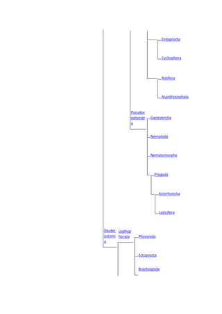 Entoprocta
Cycliophora
Rotifera
Acanthocephala
Pseudoc
oelomat
a
Gastrotricha
Nematoda
Nematomorpha
Priapula
Kinorhyncha
Loricifera
Deuter
ostomi
a
Lophop
horata Phoronida
Ectoprocta
Brachiopoda
 