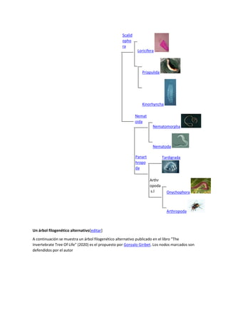 Scalid
opho
ra
Loricifera
Priapulida
Kinorhyncha
Nemat
oida
Nematomorpha
Nematoda
Panart
hropo
da
Tardigrada
Arthr
opoda
s.l Onychophora
Arthropoda
Un árbol filogenético alternativo[editar]
A continuación se muestra un árbol filogenético alternativo publicado en el libro "The
Invertebrate Tree Of Life" (2020) es el propuesto por Gonzalo Giribet. Los nodos marcados son
defendidos por el autor
 
