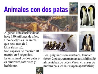 Animales con dos patas Algunos dinosaurios vivían hace 150 millones de años. Uno de ellos es un animal que pesa mas de 3 kilos.(lagarto). Son capaces de recorrer 100 metros en 6 segundos. Es un animal de dos patas y es omnívoro,carnívoro y herbívoro. Los  pingüinos son acuáticos, también tienen 2 patas.Amamantan a sus hijos.Se alimentaban de peces.Viven en el sur de nuestro país ,en la Patagonia(Antártida) 