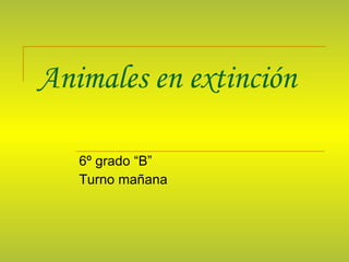 Animales en extinción 6º grado “B” Turno mañana 