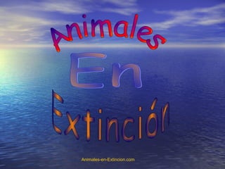 Animales-en-Extincion.com
 