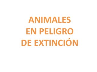 ANIMALES 
EN PELIGRO 
DE EXTINCIÓN 
 