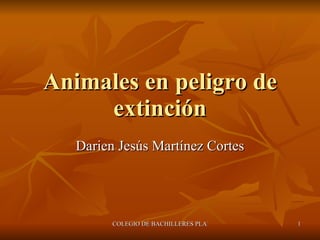 Animales en peligro de extinción Darien Jesús Martínez Cortes 