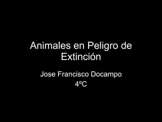 Animales en Peligro de Extinción Jose Francisco Docampo 4ºC 