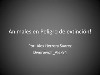 Animales en Peligro de extinción! Por: Alex Herrera Suarez Dwerewolf_Alex94 
