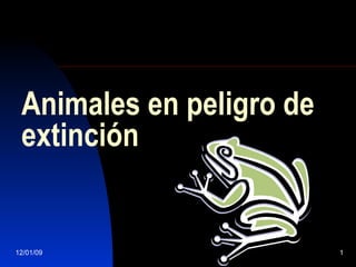 Animales en peligro de extinción 