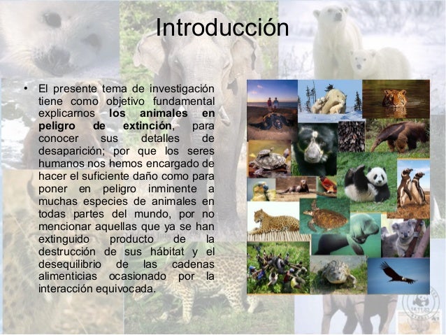 Introduccion De Animales En Peligro De Extincion