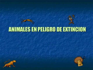 ANIMALES EN PELIGRO DE EXTINCION 