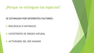 ¿Porque se extinguen las especies?
SE EXTINGUEN POR DIFERENTES FACTORES:
 BIOLÓGICAS O NATURALES
 CATÁSTROFES DE ORIGEN NATURAL
 ACTIVIDADES DEL SER HUMANO
 