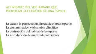 ACTIVIDADES DEL SER HUMANO QUE
PROVOCAN LA EXTINCIÓN DE UNA ESPECIE
La caza o la persecución directa de ciertas especies
La contaminación y el cambio climático
La destrucción del hábitat de la especie
La introducción de nuevos depredadores
 