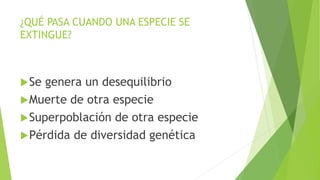 ¿QUÉ PASA CUANDO UNA ESPECIE SE
EXTINGUE?
Se genera un desequilibrio
Muerte de otra especie
Superpoblación de otra especie
Pérdida de diversidad genética
 