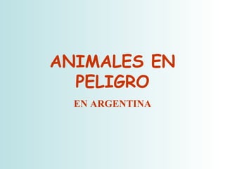 ANIMALES EN PELIGRO EN ARGENTINA 