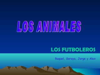LOS ANIMALES LOS FUTBOLEROS Raquel, Soraya, Jorge y Alex 