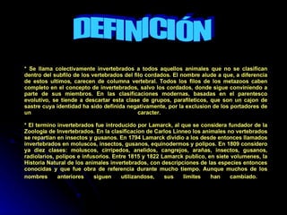 * Se llama colectivamente invertebrados a todos aquellos animales que no se clasifican dentro del subfilo de los vertebrados del filo cordados. El nombre alude a que, a diferencia de estos ultimos, carecen de columna vertebral. Todos los filos de los metazoos caben completo en el concepto de invertebrados, salvo los cordados, donde sigue conviniendo a parte de sus miembros. En las clasificaciones modernas, basadas en el parentesco evolutivo, se tiende a descartar esta clase de grupos, parafileticos, que son un cajon de sastre cuya identidad ha sido definida negativamente, por la exclusion de los portadores de un caracter.  * El termino invertebrados fue introducido por Lamarck, al que se considera fundador de la Zoologia de Invertebrados. En la clasificacion de Carlos Linneo los animales no vertebrados se repartian en insectos y gusanos. En 1794 Lamarck dividio a los desde entonces llamados invertebrados en moluscos, insectos, gusanos, equinodermos y polipos. En 1809 considero ya diez clases: moluscos, cirripedos, anelidos, cangrejos, arañas, insectos, gusanos, radiolarios, polipos e infusorios. Entre 1815 y 1822 Lamarck publico, en siete volumenes, la Historia Natural de los animales invertebrados, con descripciones de las especies entonces conocidas y que fue obra de referencia durante mucho tiempo. Aunque muchos de los nombres anteriores siguen utilizandose, sus limites han   cambiado.   DEFINICIÓN 