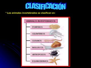 CLASIFICACIÓN * Los animales invertebrados se clasifican en: 