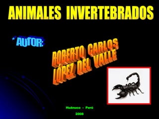 ANIMALES  INVERTEBRADOS * AUTOR: ROBERTO  CARLOS LÓPEZ  DEL  VALLE Huánuco  -  Perú 2008 