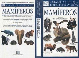 Animales   manual de identificacion de mamiferos
