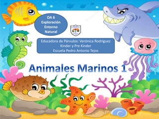 Educadora de Párvulos: Verónica Rodríguez
Kinder y Pre Kinder
Escuela Pedro Antonio Tejos
OA 6
Exploración
Entorno
Natural
 