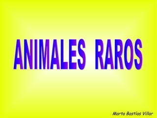 Marta Bastías Villar ANIMALES  RAROS 